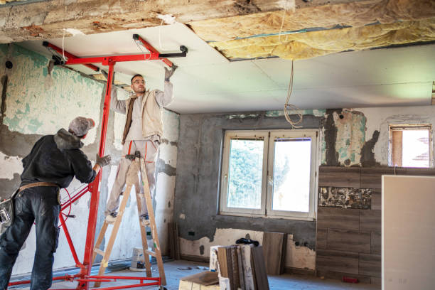 Best Insulation Installation Services in Elm Springs, AR