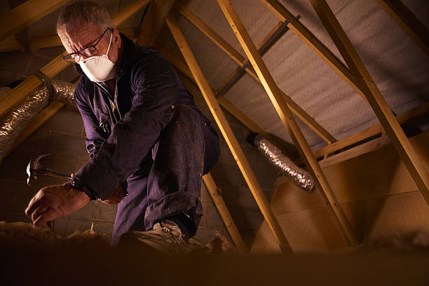 Best Specialty Insulation in Elm Springs, AR