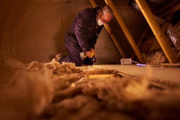 Best Insulation Maintenance and Repair in Elm Springs, AR