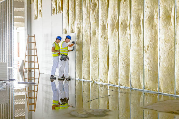 Best Insulation Materials and Products in Elm Springs, AR